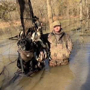 Meet your Posher, Devin